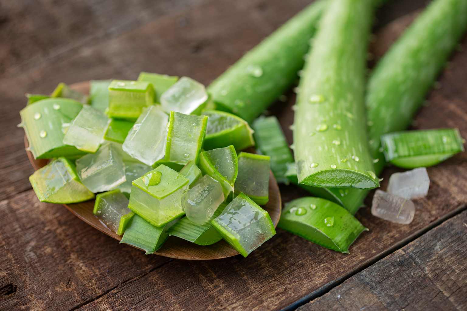 Aloe vera, un elisir di buona vita: tutte le sue propriet