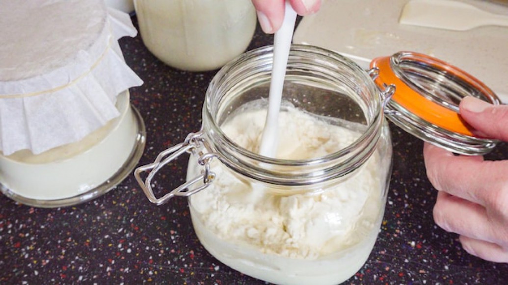 Fermenti lattici: benefici senza antibiotici